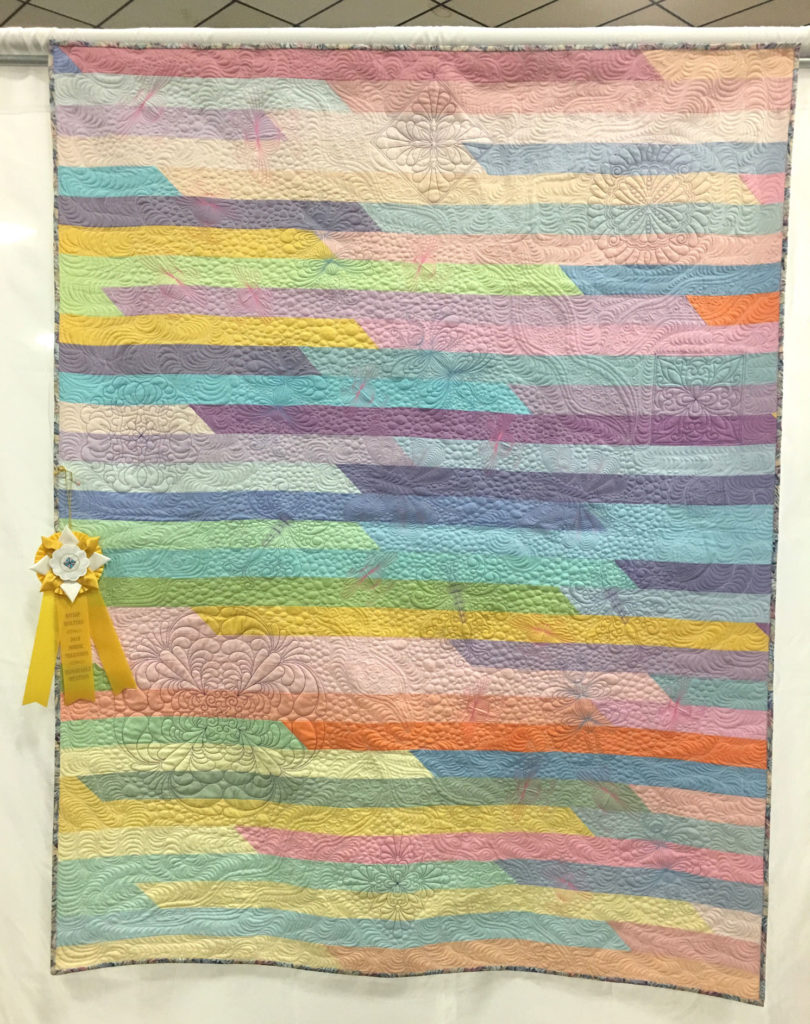 511 “Racing Bugs” by Jackie Heckathorn, HM Medium Individual Quilt, 2018 Kitsap Quilt Show